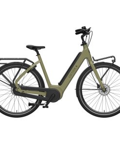 E-Common Fam Int L46 Moss Green Gloss Enviolo DB A